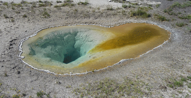 Belgian Pool