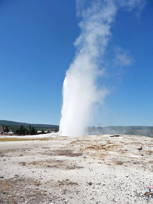 Old Faithful Geyser from upper geyser viewpoint