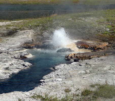 Young Hopeful Geyser