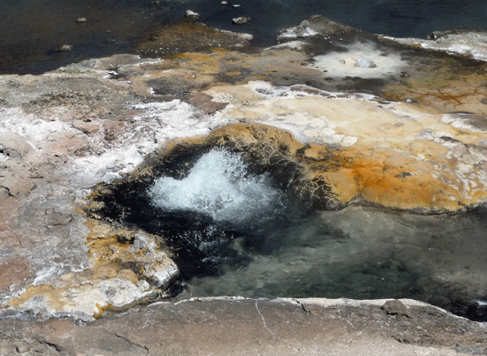 Artesia Geyser