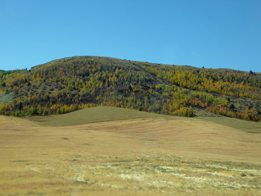 Swan Valley ID fall color