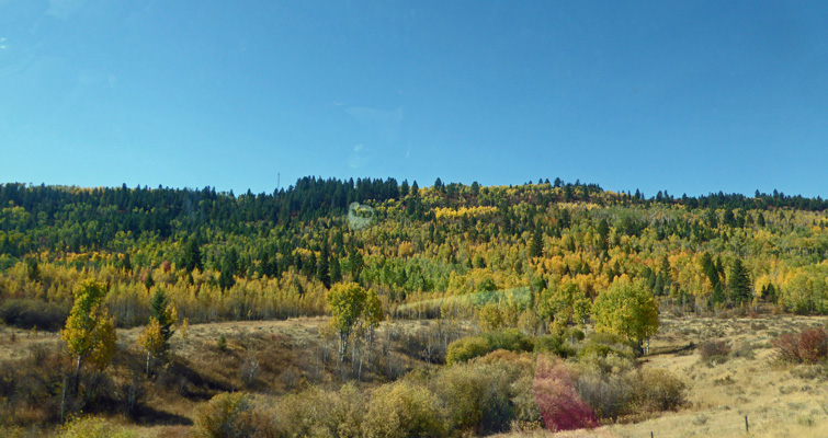 Swan Valley ID fall color