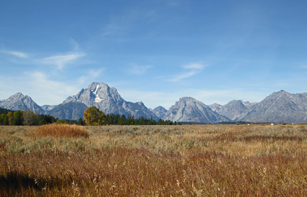 Oxbow Bend Road view
