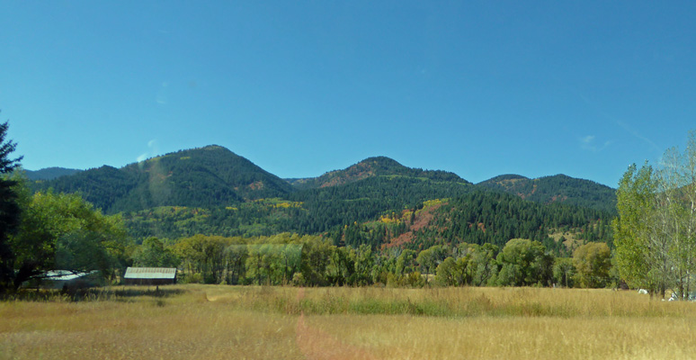 Swan Valley ID fall color