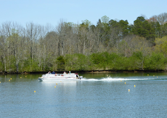 Pontoon boat Clinch RIver