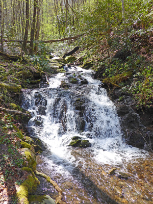 Waterfall Little River Road