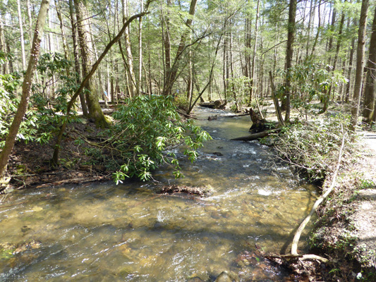 Fighting Creek Sugarlands TN