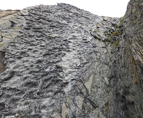 Rock layers Green Point NL