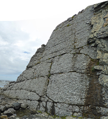 Conglomerate rock Green Point NL