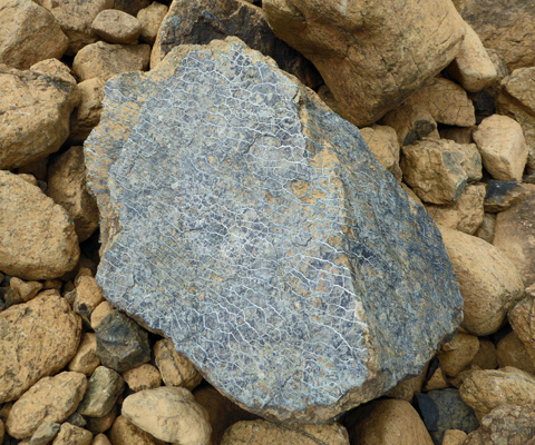 Serpentinite at Tablelands