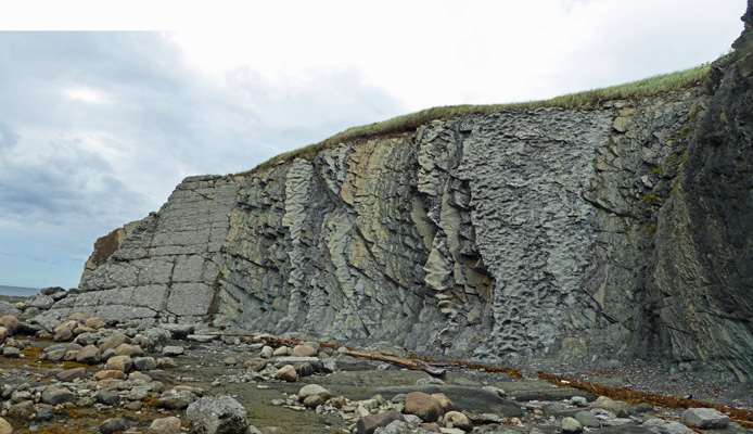 Green Point NL