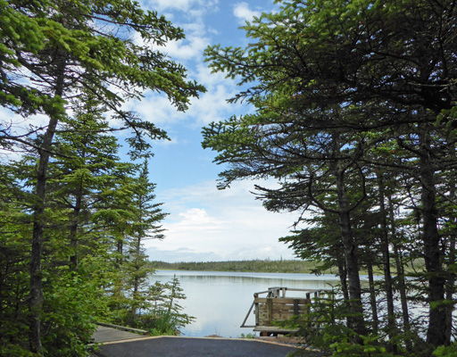 Berry Head Pond