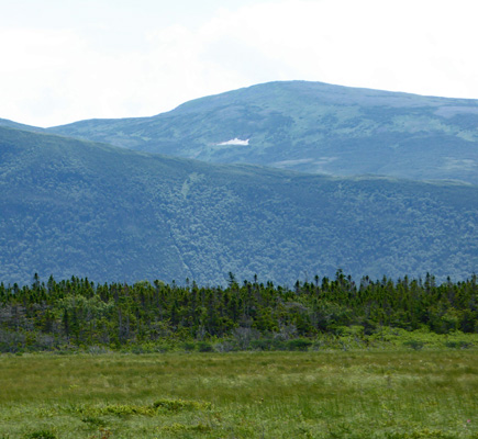 Patch of snow near Western Brook Pond