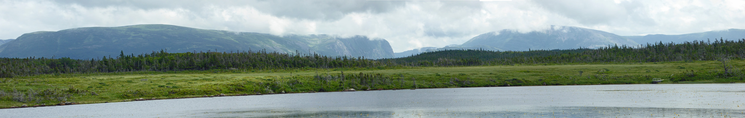 Berry Head Pond