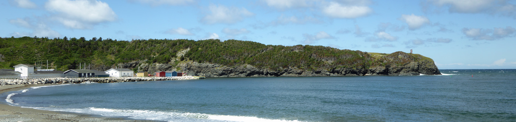 Trout River Cove NL