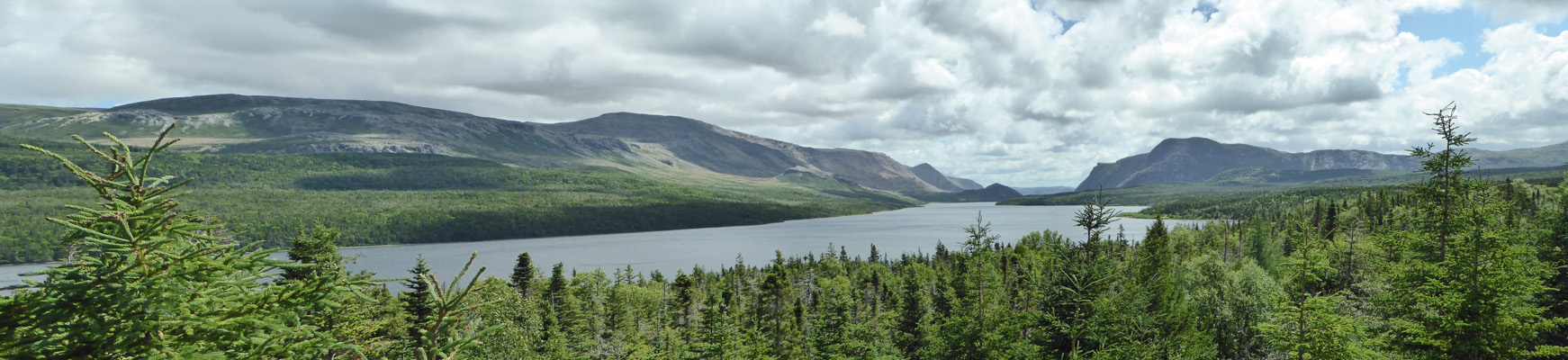 Trout River Pond