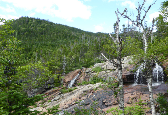 Southeast Brook Falls