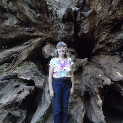 Sara Schurr Stout Grove Redwood NP