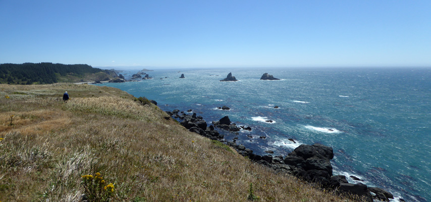 Cape Ferrelo Trail