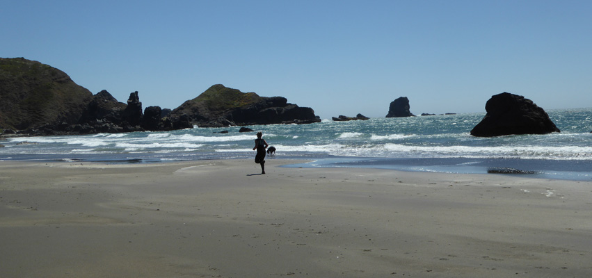 Lone Ranch Beach Boardman SP