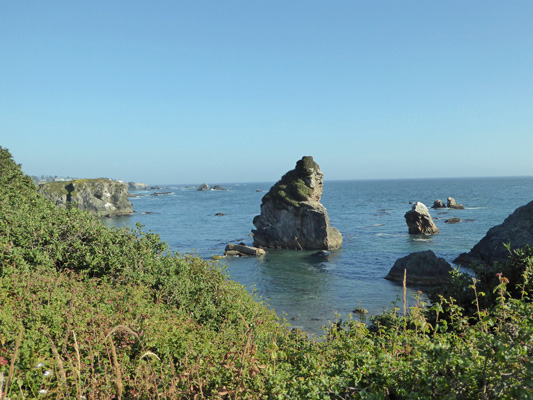 Harris Beach State Park