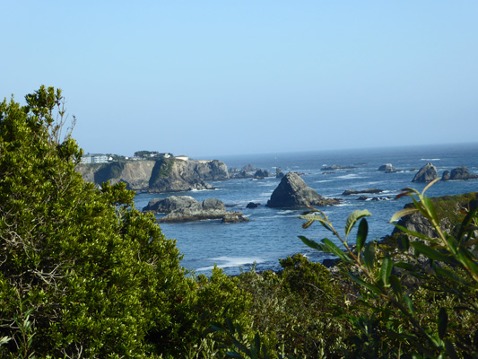 Harris Beach State Park