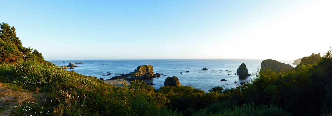 Harris Beach State Park