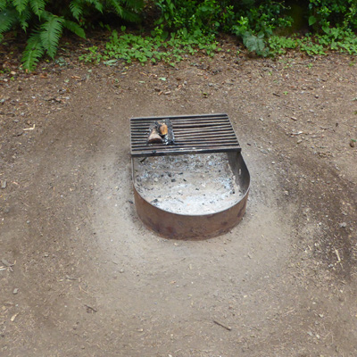 fire pit Harris Beach State Park