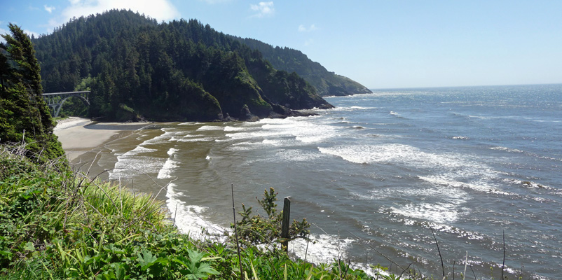 Looking south from Heceta Head