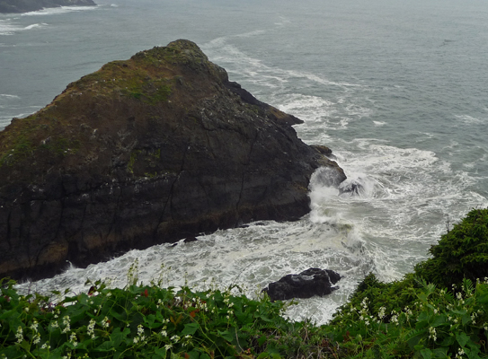 Surf at Heceta Head OR