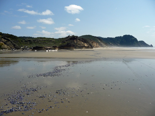 Carl G Washburn SP beach