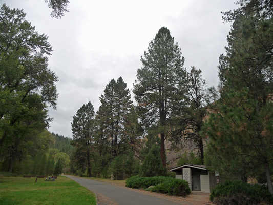 Ponderosa Pines Hilgard Junction SP