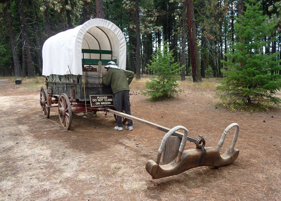 Covered Wagon Oregon Trail