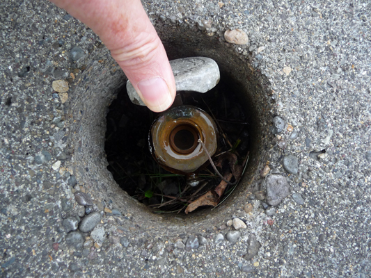 Screw in sprinkler fixture