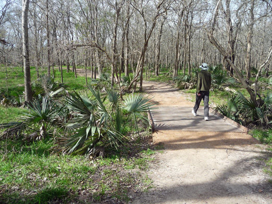 Mesquite Trail Palmetto SP