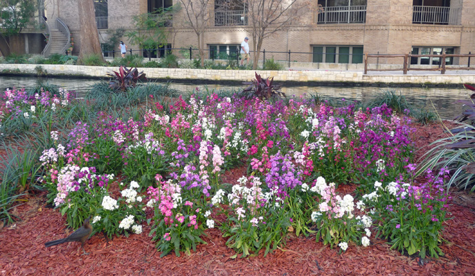 Stocks Riverwalk