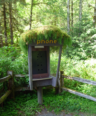 Moss covered phone kiosk Hoh Rain Forest