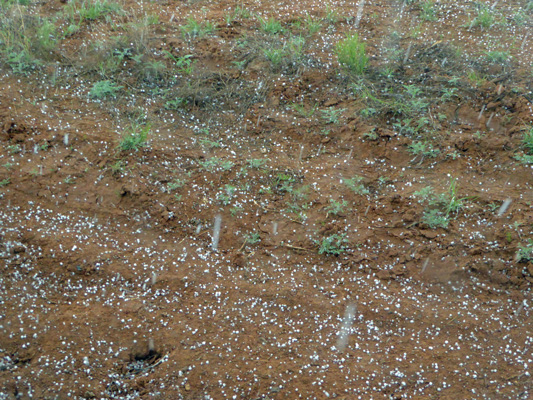 Hail on dirt road