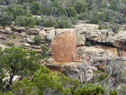 Horseshoe Unit Hovenweep