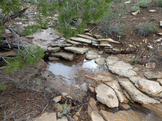 Spring over trail