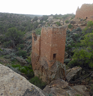 Holly Unit Hovenweep