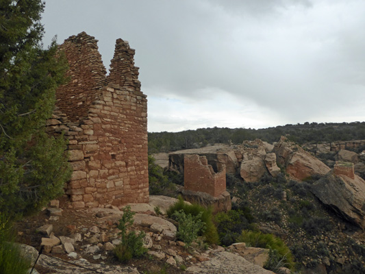 Holly Unit Hovenweep