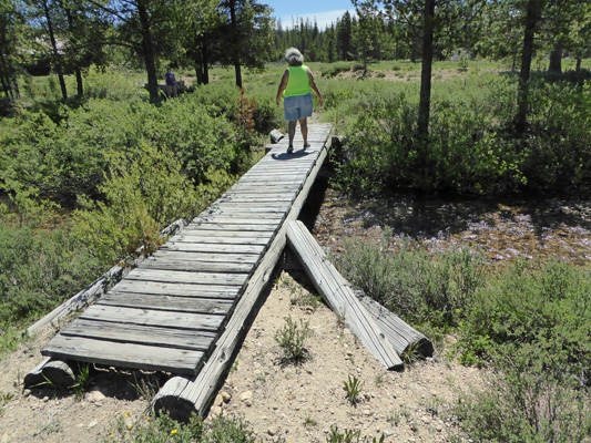 Landmark ID bridge