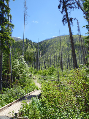 Fire Crew Memorial Trail ID