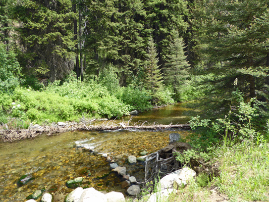 Jungle Creek Idaho