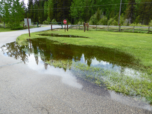 Flooding Huckleberry Campground