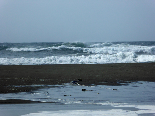 Cape Blanco south beach