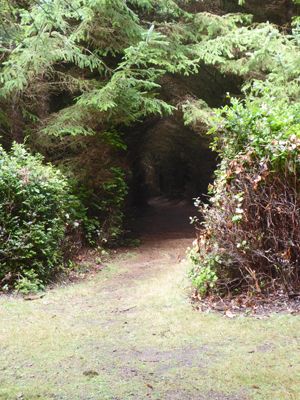 Pacific View Trail Cape Blanco