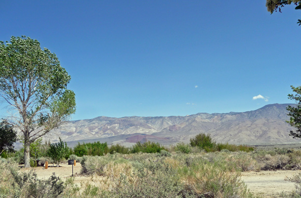 Inyo Mts from Goodale Creek Campground CA