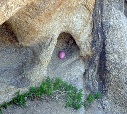Easter Egg in niche Mobius Arch Alabama Hills CA